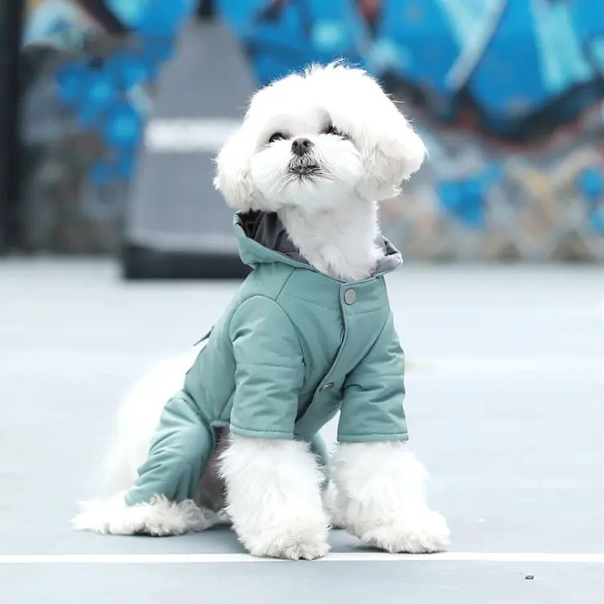 DANK - Chaleco Abrazo Canino Waterproof  Talla M