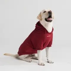 DANK - Sudadera Compañía Perfecta Human-Dog Ver Descripción
