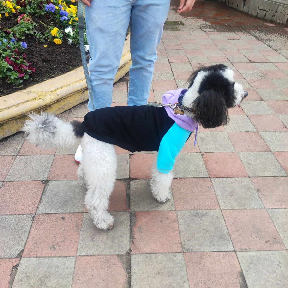 DANK - Sudadera Combinación Peluda Human-Dog Ver Descripción