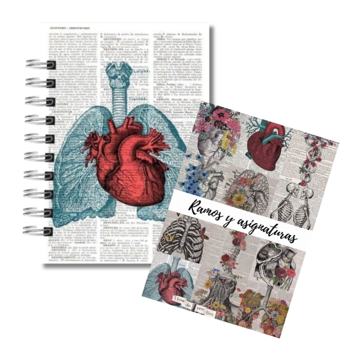 GENERICO - Agenda estudiante - corazon anatomico