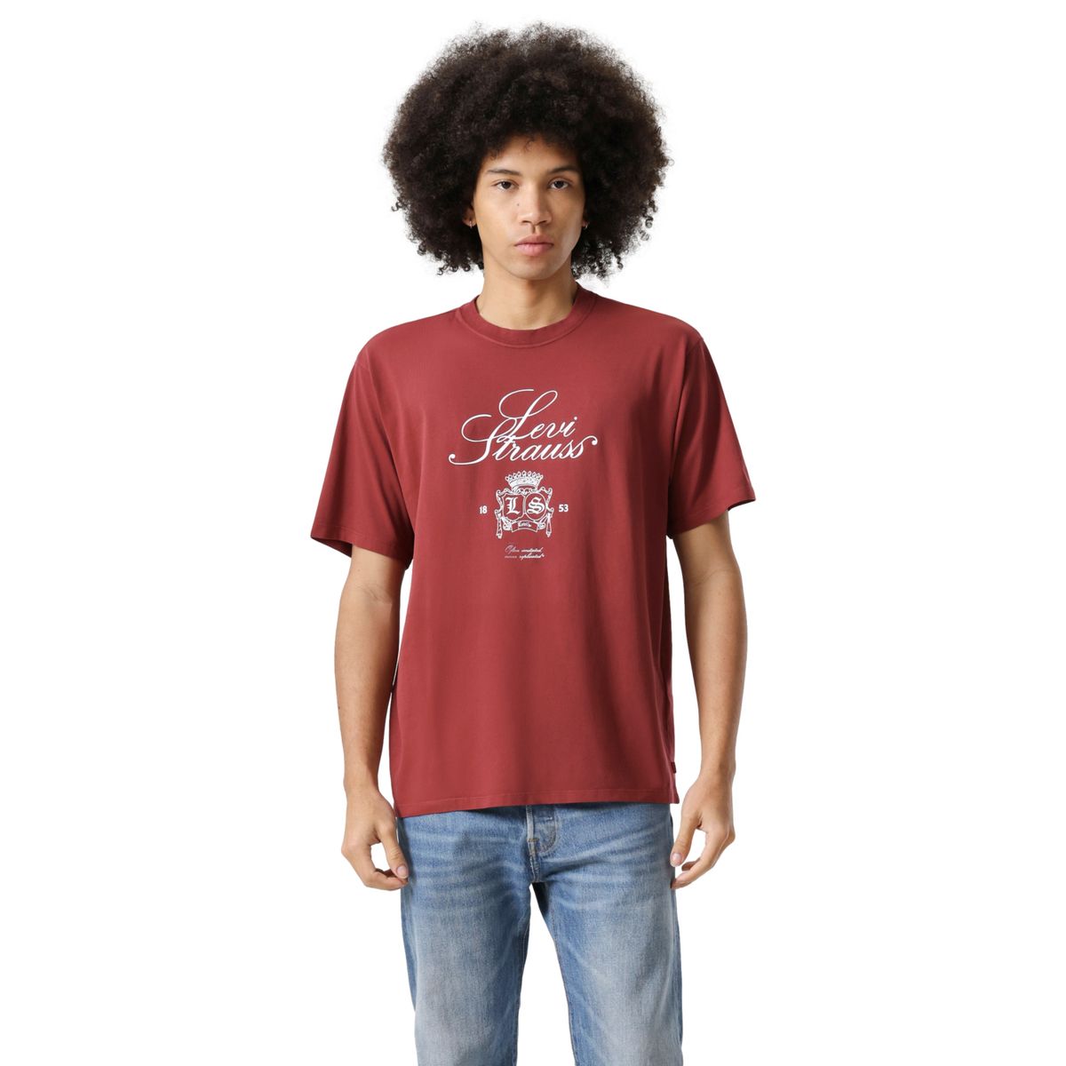 LEVIS - Polera Hombre Vintage Fit Graphic Tee Burdeo Levis