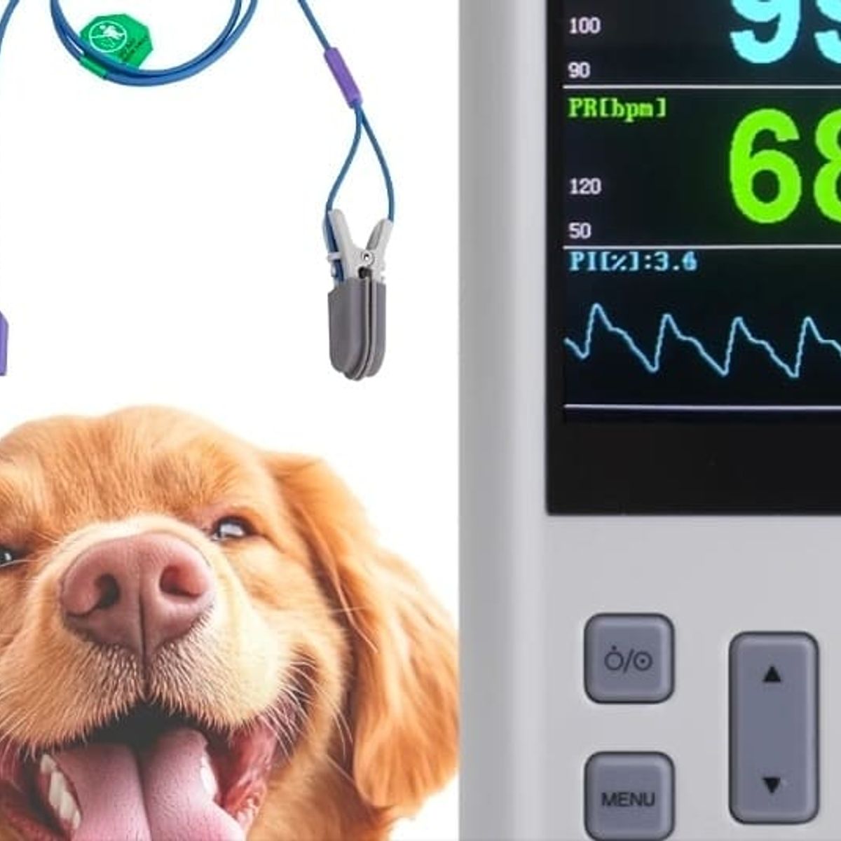 GENERICO - Saturometro Oximetro de Pulso Veterinario Recargable