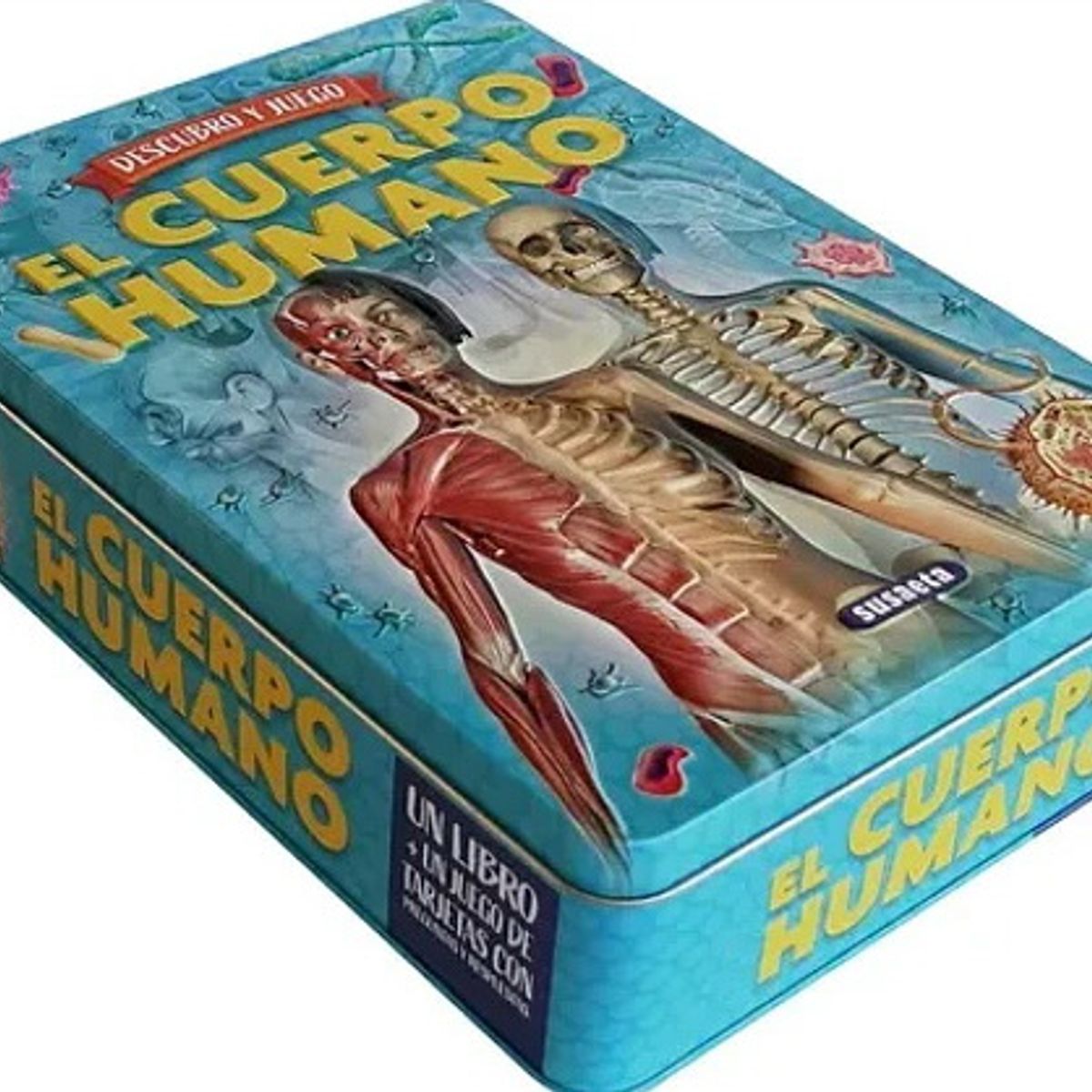 ANTARTICA LIBROS - El Cuerpo Humano Descubro Y Juego