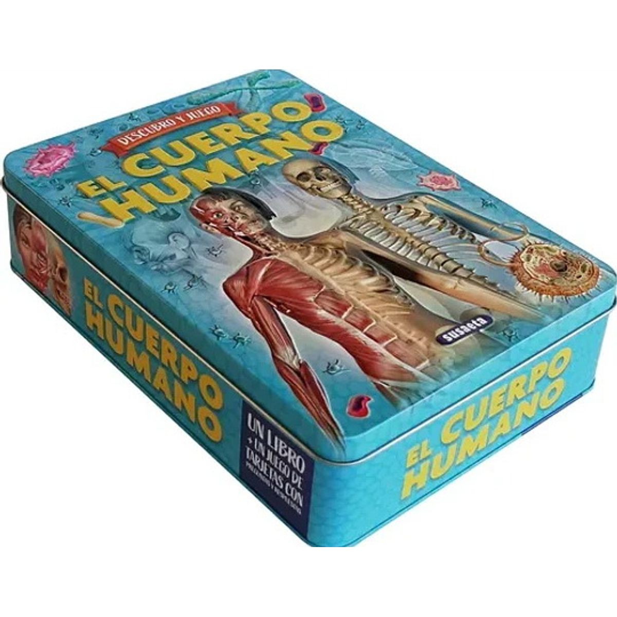 ANTARTICA LIBROS - El Cuerpo Humano Descubro Y Juego