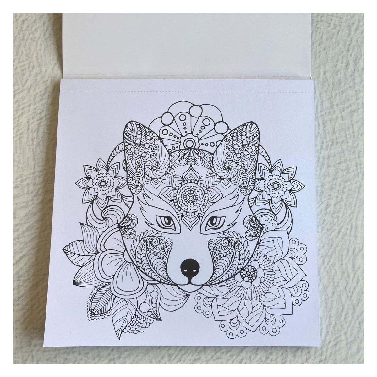MOTARRO - Libro - Block para colorear - Mundo animal
