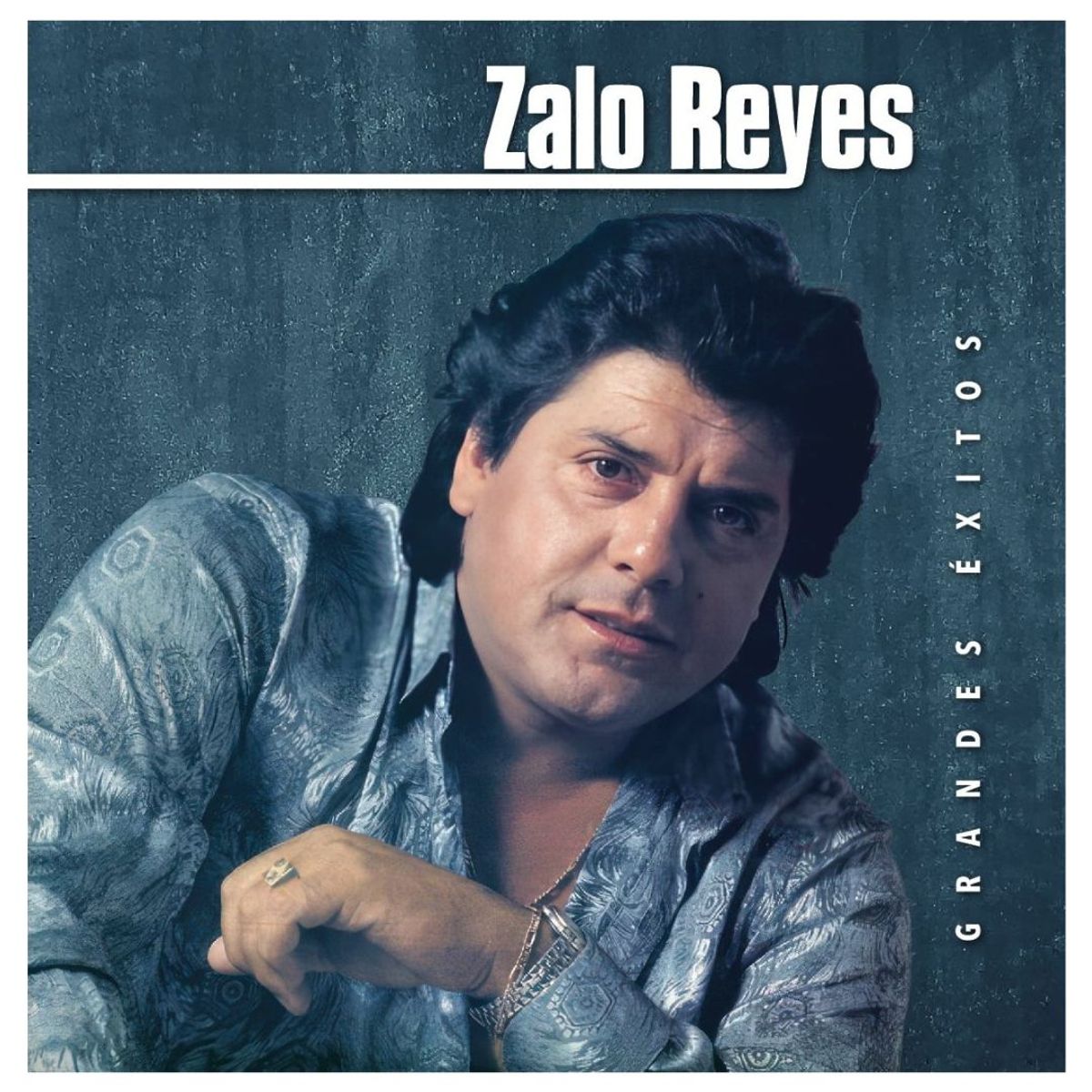 GENERICO - ZALO REYES - GRANDES EXITOS / VINILO