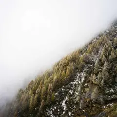 2 TOMATOES - Test product do not buy 003