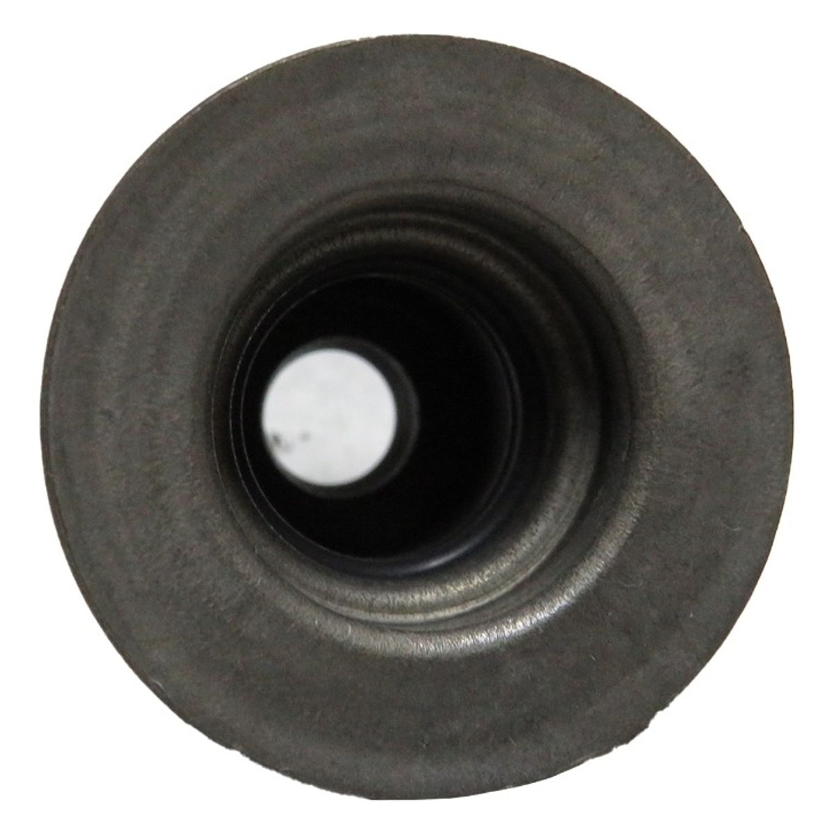 FORD - Reten De Valvula Ford Mustang 5.0 2023-