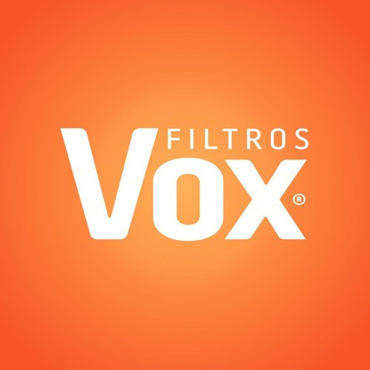 VOX - Filtro De Aire Ford Cargo 2628 (2014-)
