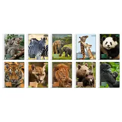 GLAM - Cuaderno Glamtex Universitario Tdura 100h 7mm Fauna 10un