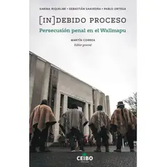 TOP10BOOKS - LIBRO Indebido Proceso. Persecución Penal En El Wallmapu