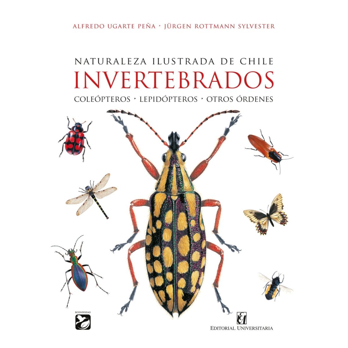 TOP10BOOKS - Naturaleza ilustrada de Chile. Invertebrados. Coleópteros – Lepidópteros – Otros órdenes