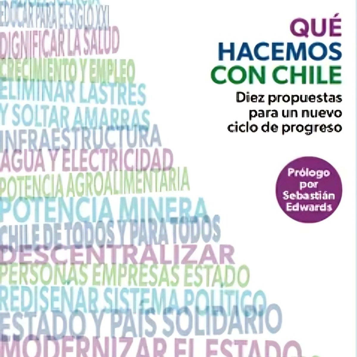 TOP10BOOKS - LIBRO Qué Hacemos Con Chile - Qué hacemos con Chile