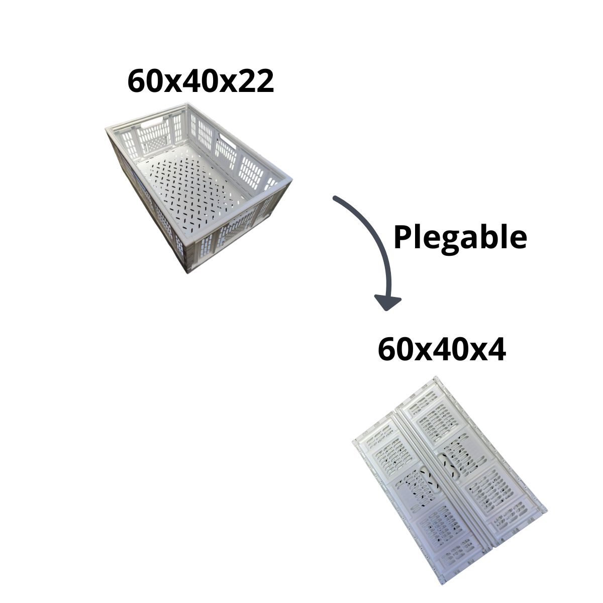 MARIO HADDAD - Caja Agricola Cosechera 3/4 Color Blanco 32.5 L. Pack X4 Blanco