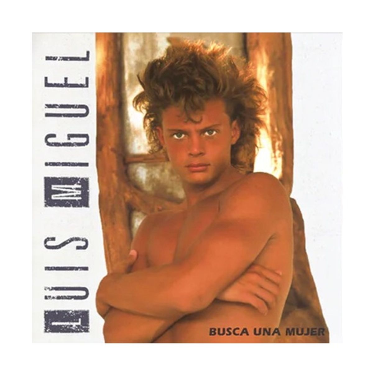 GENERICO - Vinilo Luis Miguel - Busca Una Mujer
