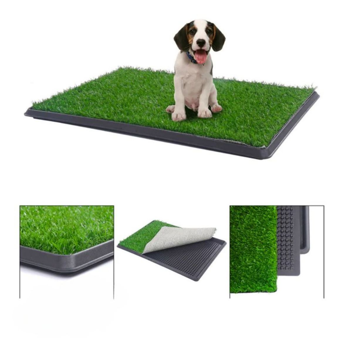 MOVI - Baño para Mascotas XXL Pet Potty