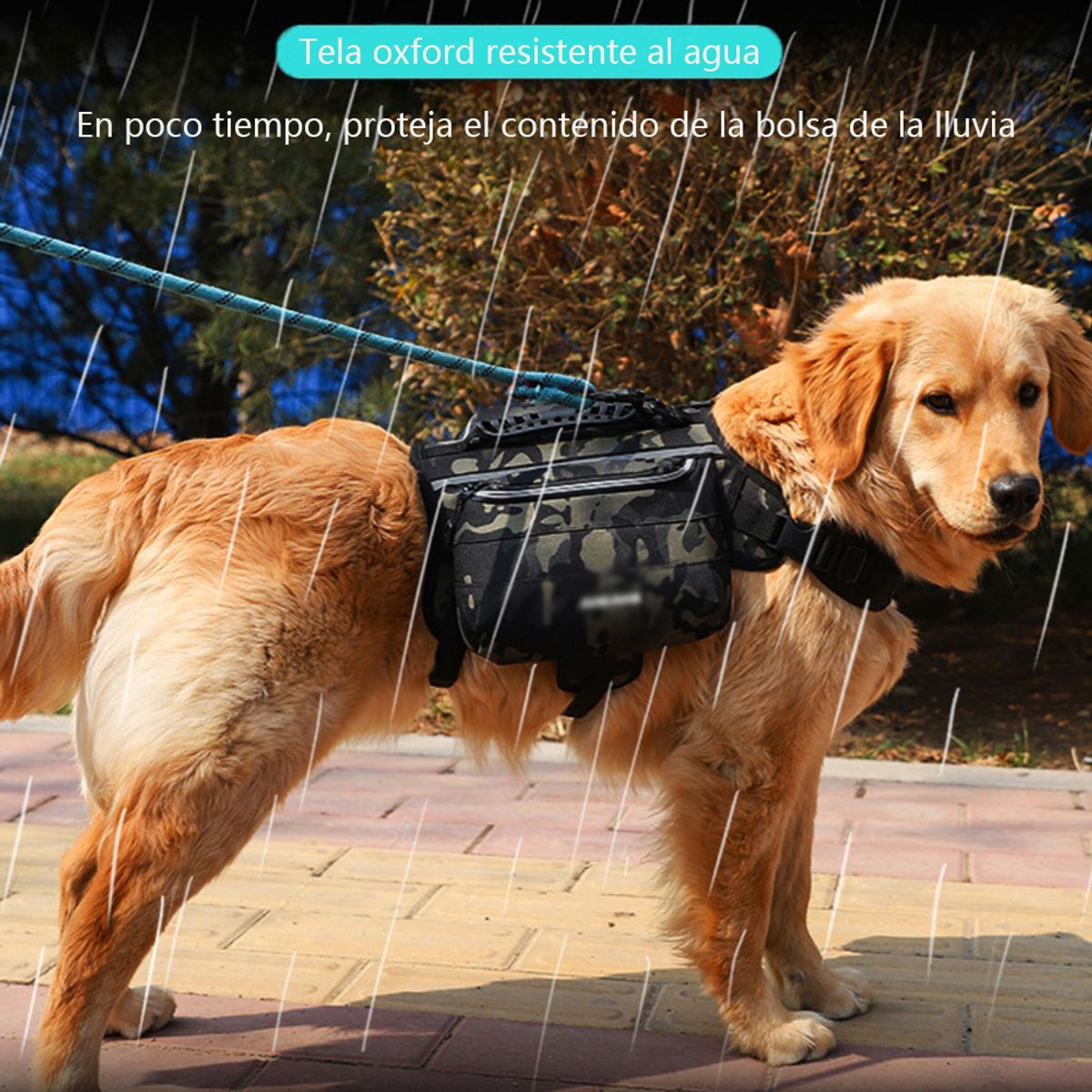 ATURE - Arnés Reflectante Con Mochila Integrada Para Perros Al Aire Libre