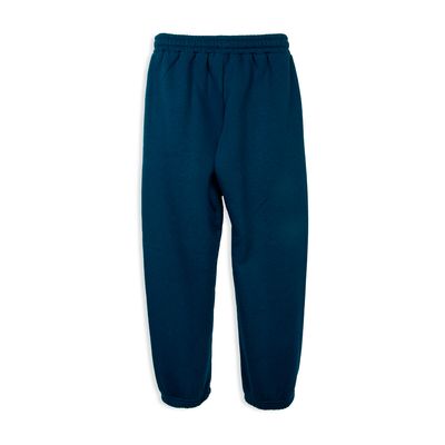Imagen 2 del producto Pantalón Buzo Niño Azul PVD511-26AZU