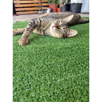 Pasto sintetico 8mm 5mts x 2mts 10m2