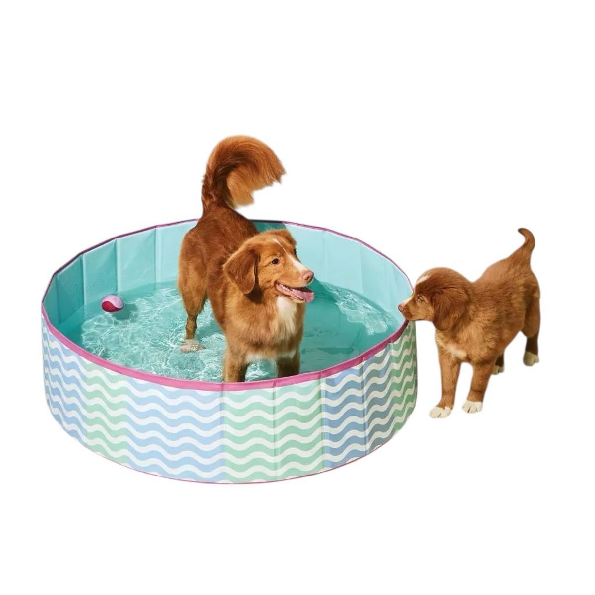 GENERICO - Piscina Grande Plegable Portátil Mascotas Niños 100cm Verano