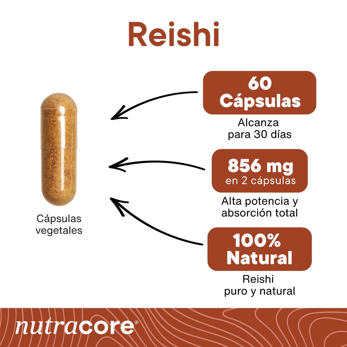 NUTRACORE - Reishi 856mg - 60 Cápsulas Vegetales Natural - NutraCore