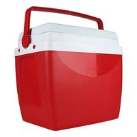 Cooler Termico Portatil 26 Litros 35 Latas Nevera