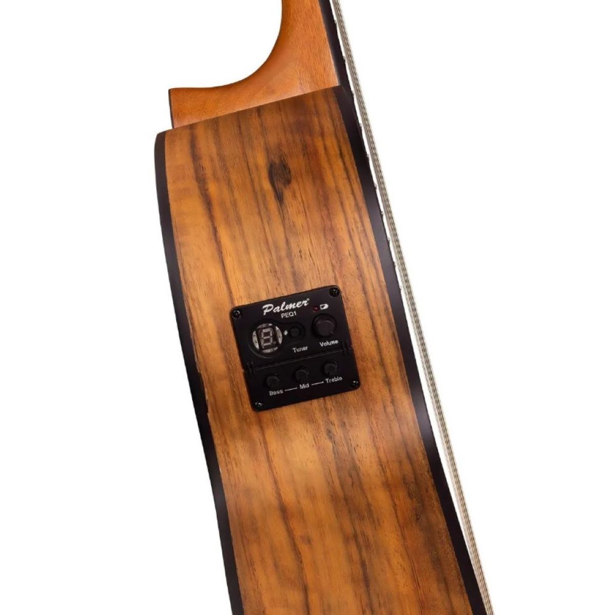 GENERICO - Guitarra Electroacustica Palmer PC-17EQ N