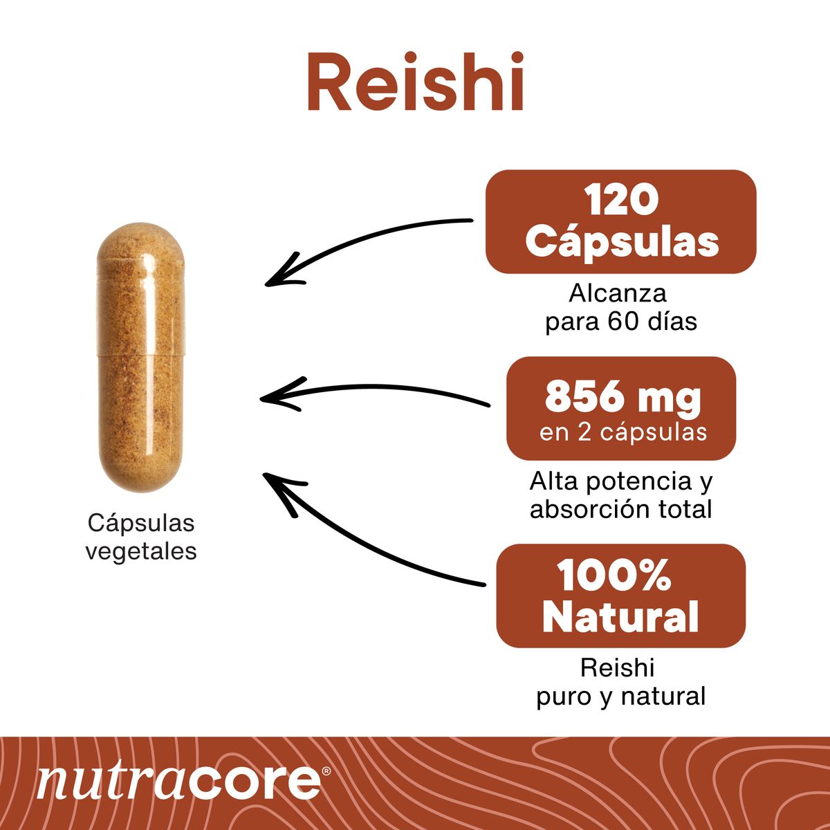 NUTRACORE - Reishi 856mg - Pack 2x60 Cápsulas Vegetales Natural  NutraCore