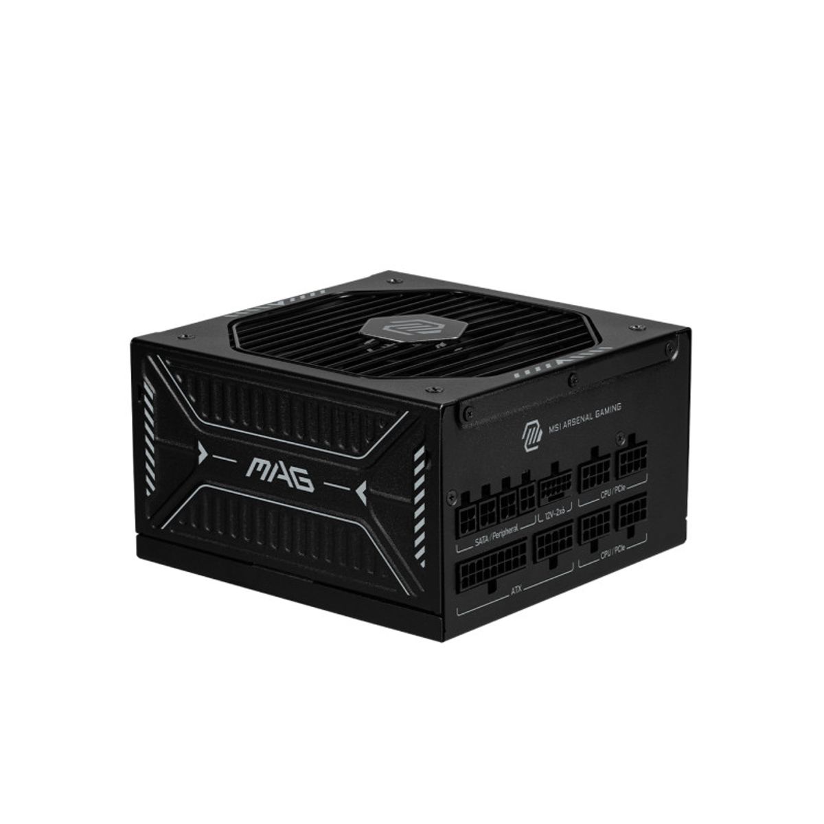 MSI - Fuente de poder - MSI A1000GLS PCIE5 - 80 Plus Gold