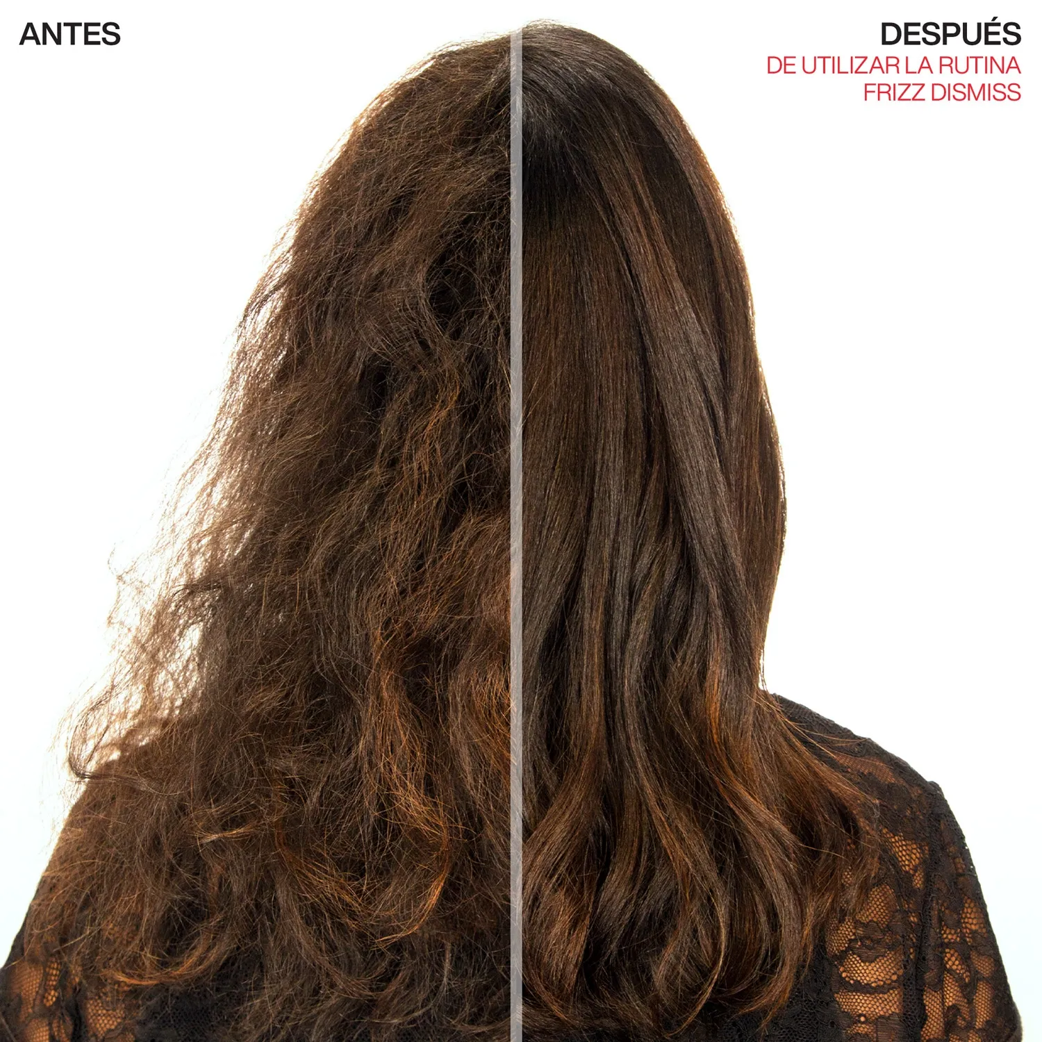 REDKEN Aceite Instant Deflate Frizz Dismiss Anti Frizz 125ml