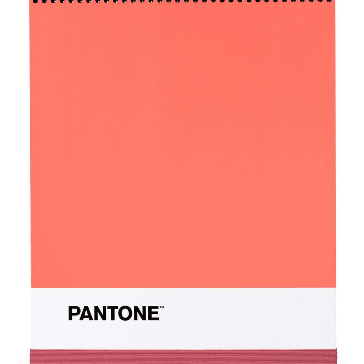 GENERICO - Croquera Pantone Carta Cierre Con Elástico 100 Hojas