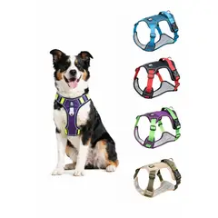 GENERICO - Arnés Reflectante Antitirones Antiasfixia Para Perro Talla M - Purpura