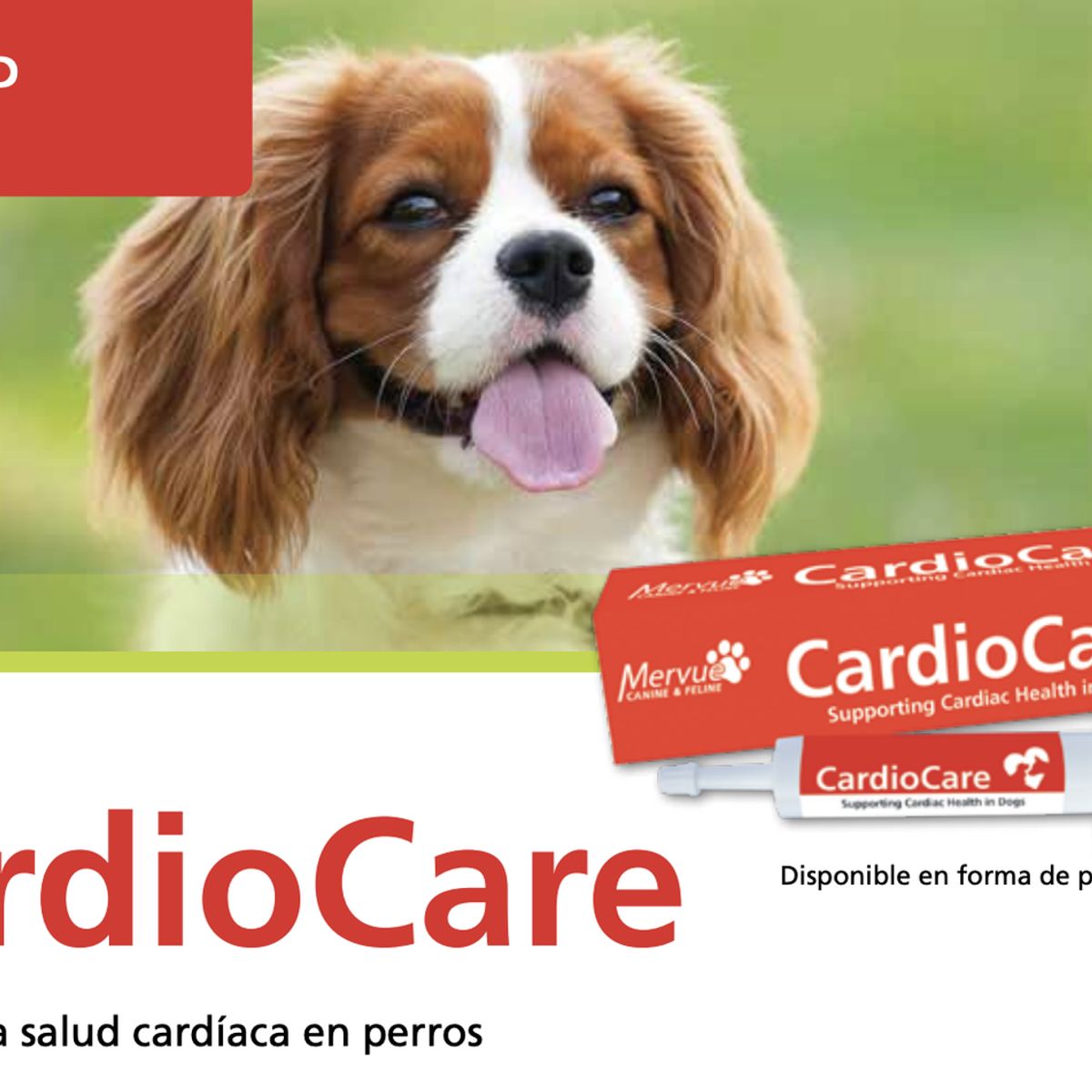 GENERICO - Cardiocare Apoyo Para La Salud Cardiaca En Perros 30ml