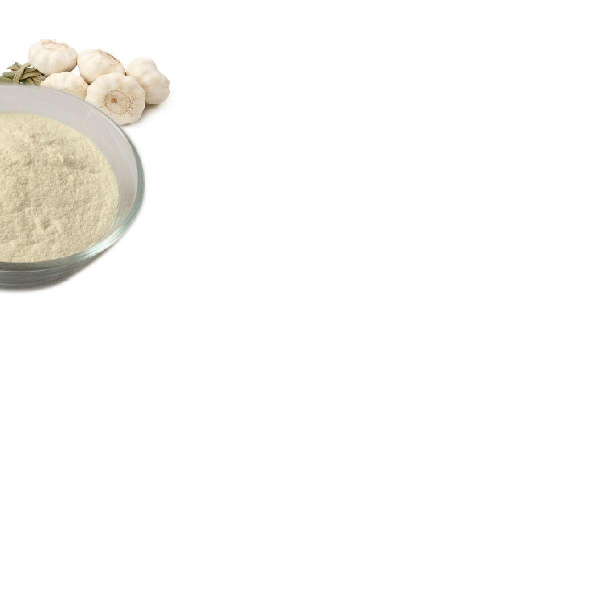 GENERICO - Ajo en Polvo La Especiería 100% Natural Sin Aditivo 45 gr La Especieria