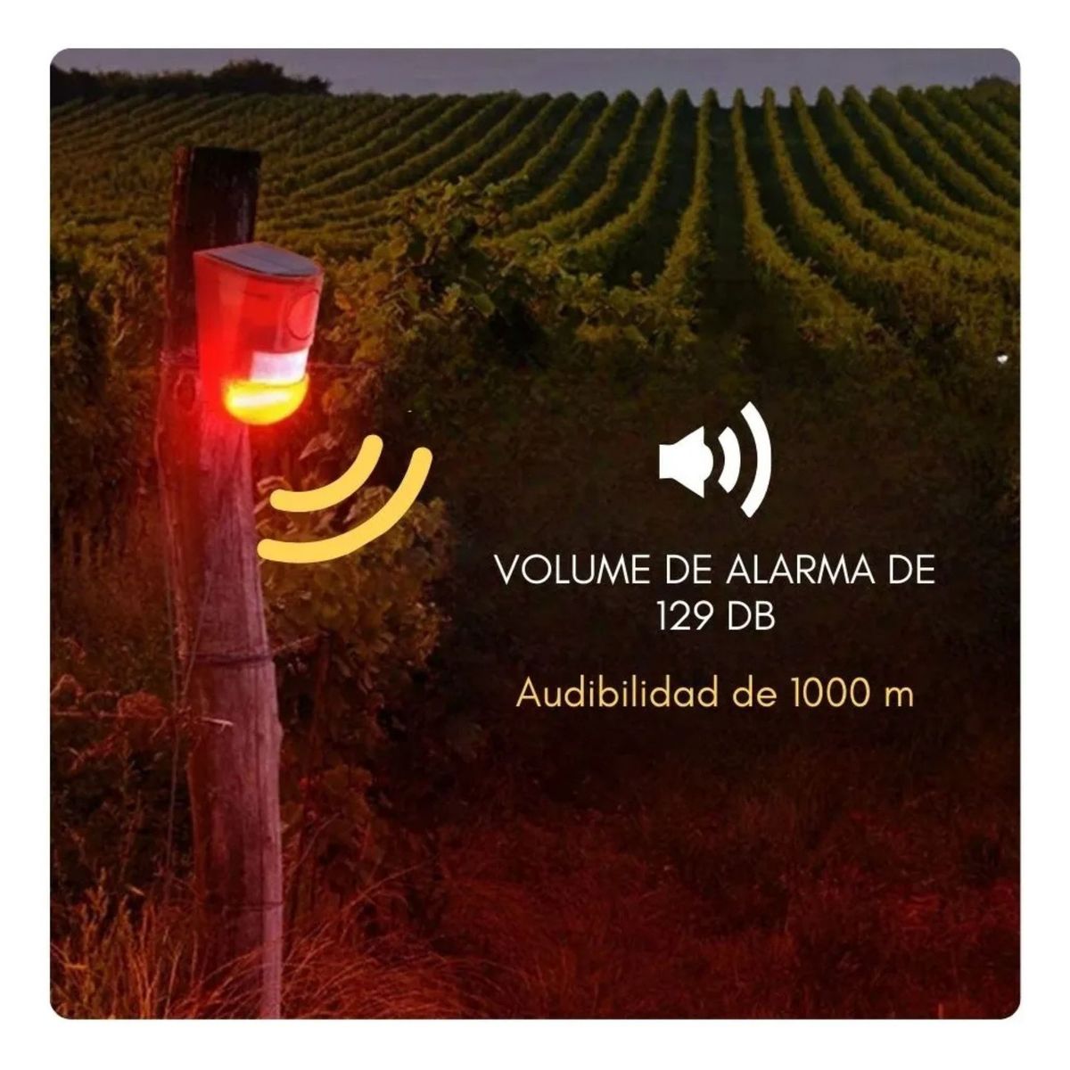 MOVI - Pack de 2 Alarmas solares con sensor de movimiento y luz intermitente