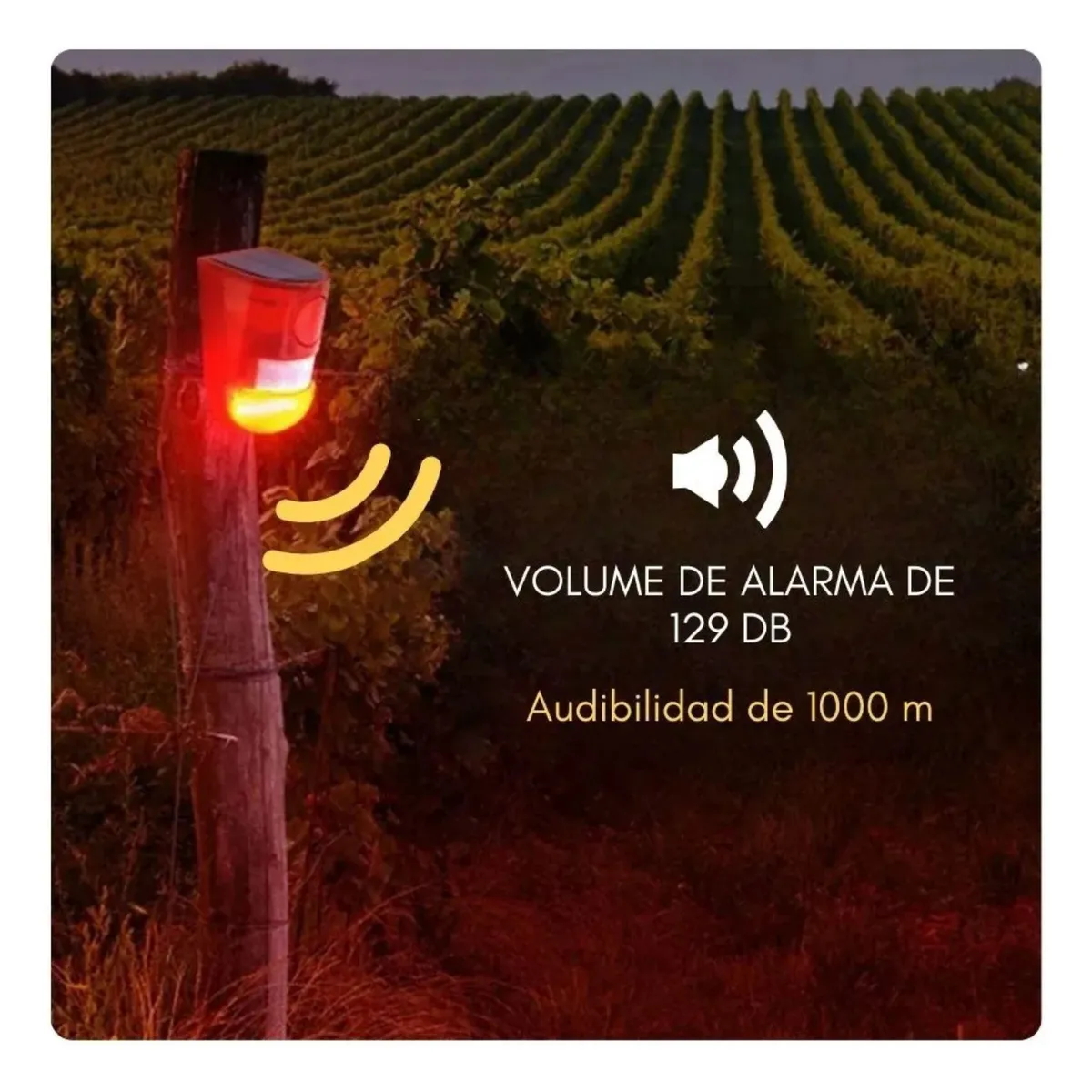MOVI - Pack de 2 Alarmas solares con sensor de movimiento y luz intermitente