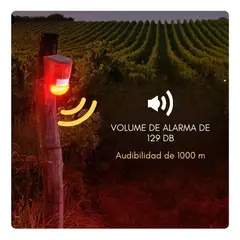 MOVI - Pack de 2 Alarmas solares con sensor de movimiento y luz intermitente