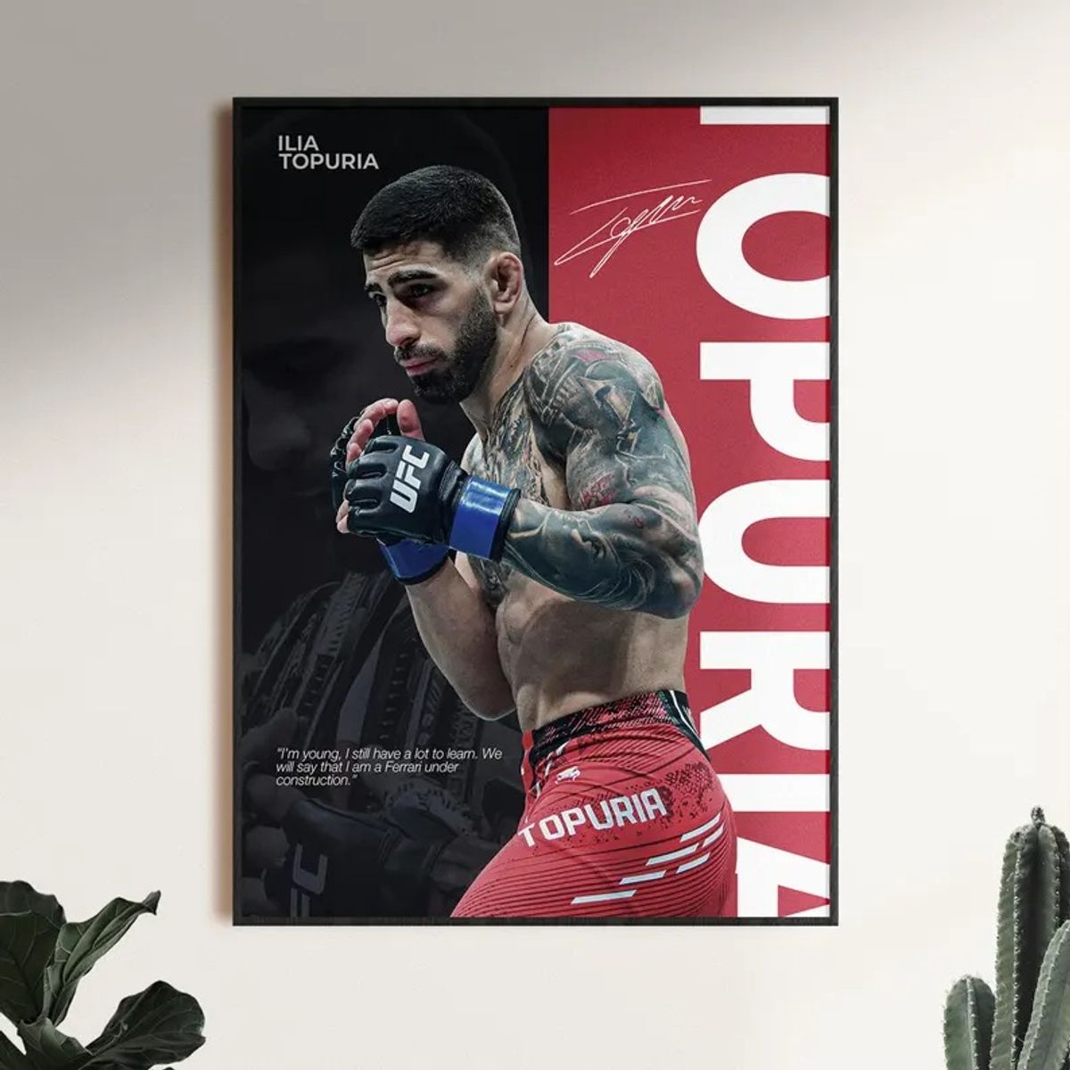 Cuadro De Ilia Topuria UFC III Peleador MMA + Marco, marca GENERICO - Foto Principal