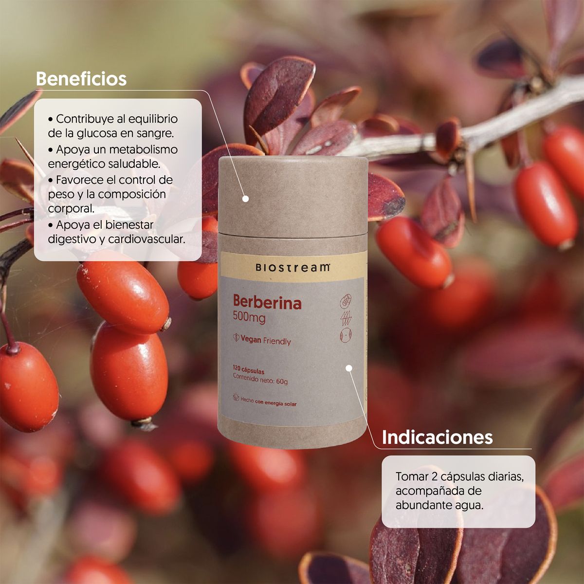 BIOSTREAM - Berberina 500mg 120 Cápsulas Vegana Biostream