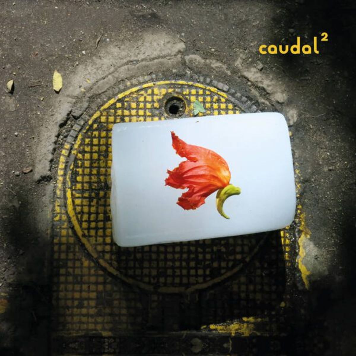 GENERICO - Amanda Irarrazabal - Caudal 2 - Vinilo Simple