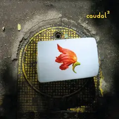 GENERICO - Amanda Irarrazabal - Caudal 2 - Vinilo Simple