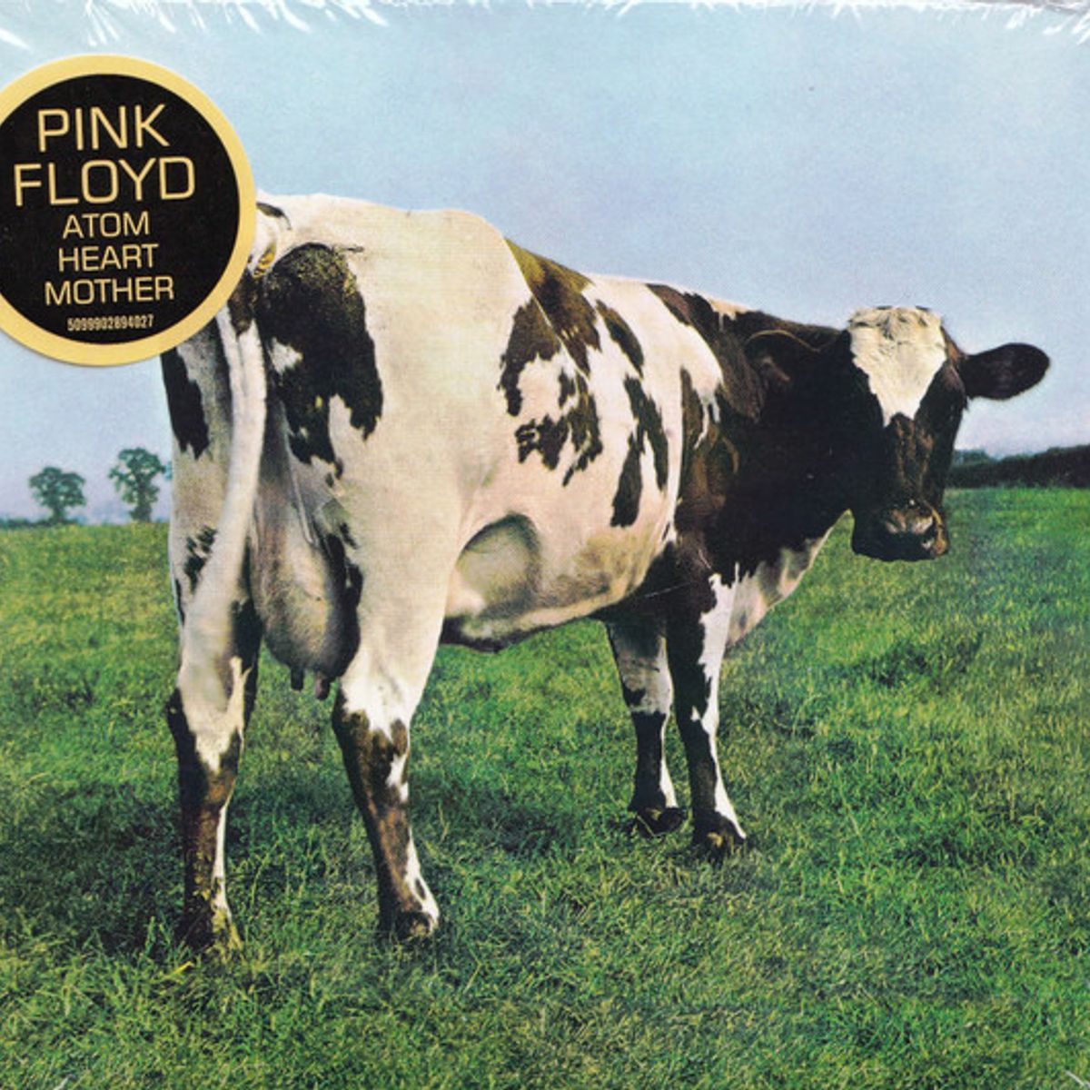 PINK FLOYD - Pink Floyd - Atom Heart Mother - CD Simple