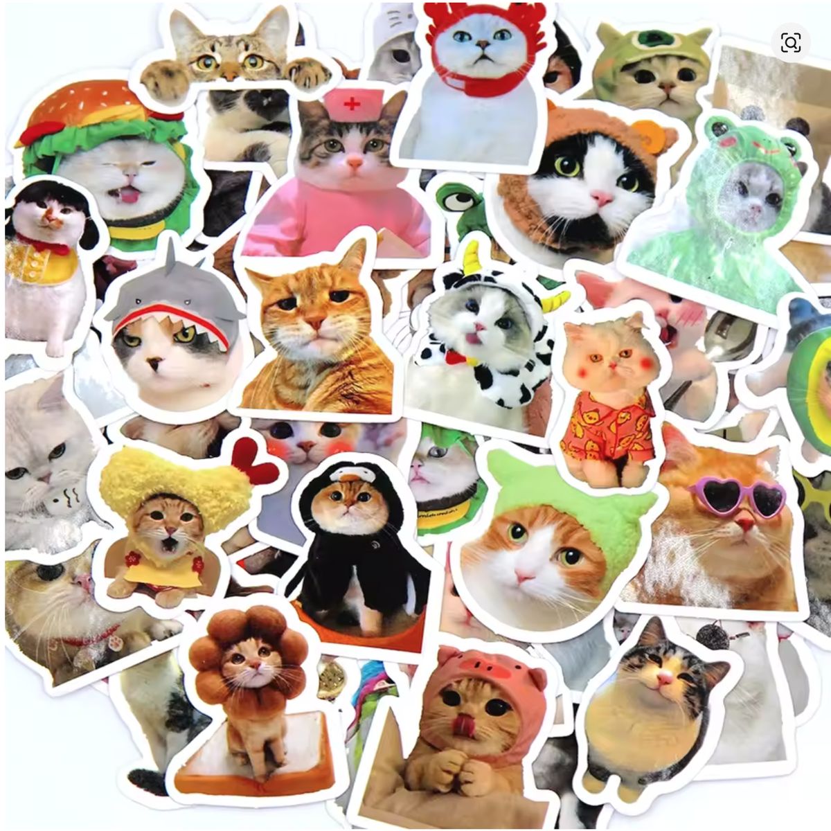 GENERICO - sticker gatitos gato meme para pegar