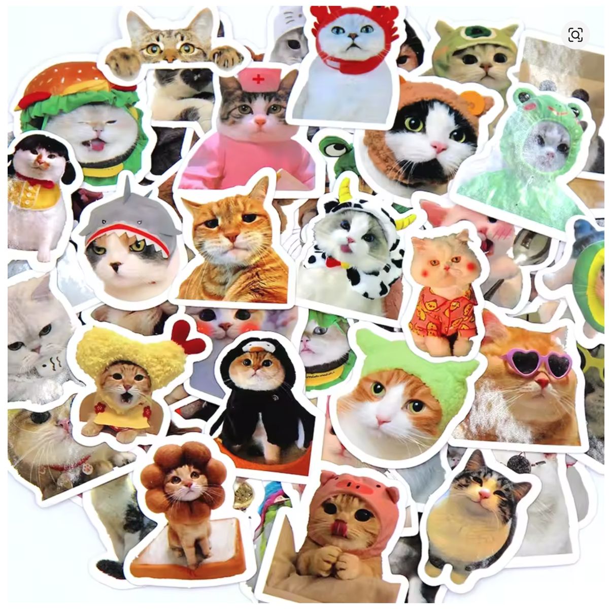 GENERICO - sticker gatitos gato meme para pegar