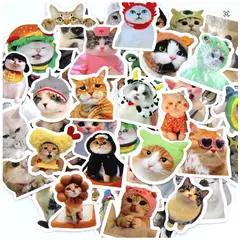 GENERICO - Sticker gatitos gato meme para pegar