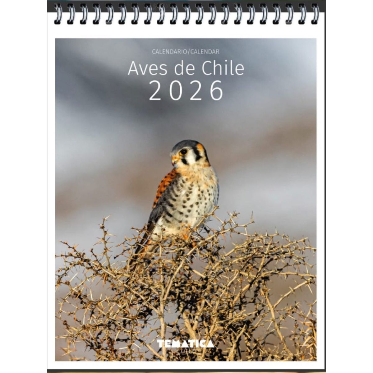 TOP10BOOKS - Calendario Escritorio Aves De Chile 2026 - Tematica Chile