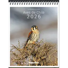 TOP10BOOKS - LIBRO Calendario Escritorio Aves De Chile 2026
