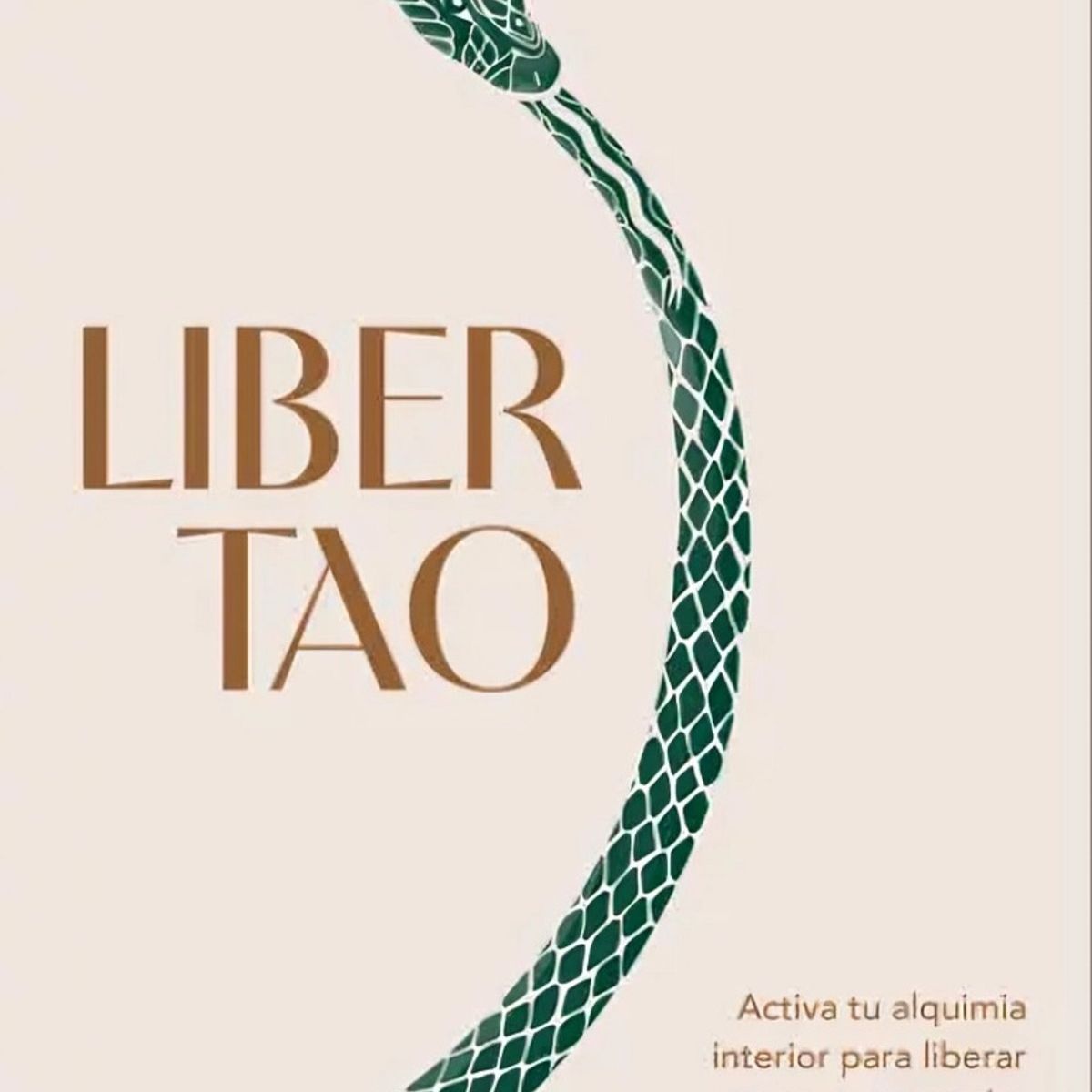 TOP10BOOKS - LIBRO Libertao - Libertao