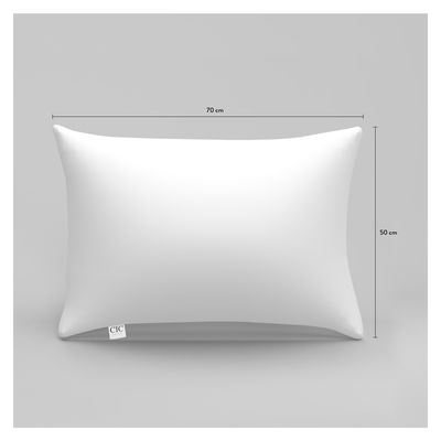 Imagen 2 del producto Almohada Microfibra 2 Plazas