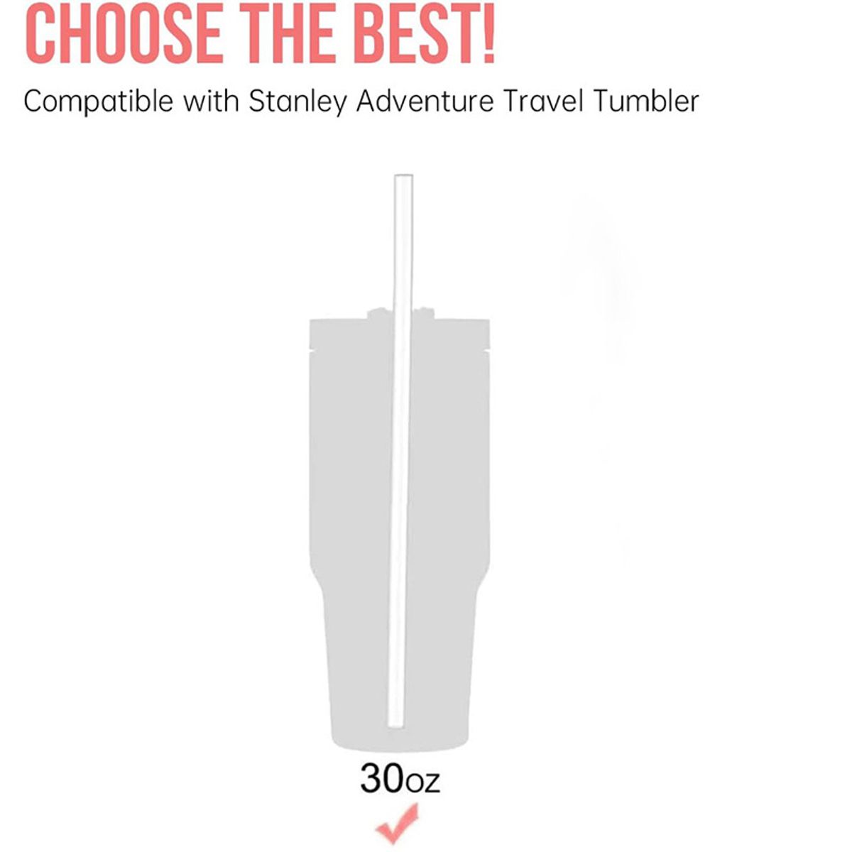 ATURE - 6 Bombillas De Repuesto + Cepillo Para Stanley 30oz